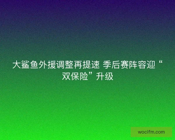 大鲨鱼外援调整再提速 季后赛阵容迎 “双保险” 升级